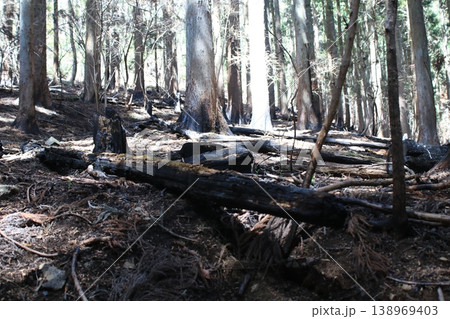 登山道　火事　跡 138969403