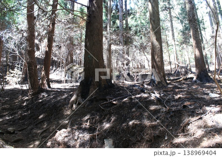 登山道 火事 跡 登山道 火事 跡 138969404