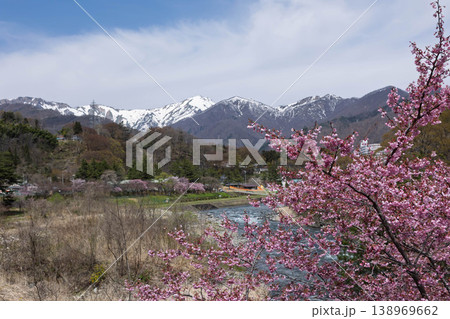 春の水上温泉　諏訪峡遊歩道 138969662