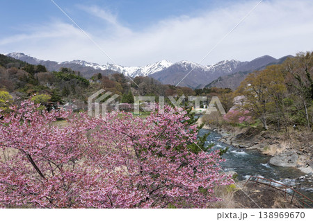 春の水上温泉　諏訪峡遊歩道 138969670