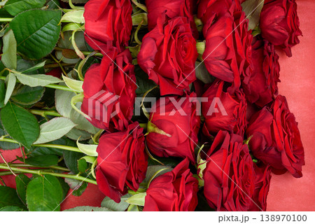 Red roses with green leaves arranged in rows on a red background. Red roses with green leaves arranged in rows on a red background. 138970100