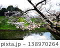 【東京・千鳥ヶ淵】春　桜が満開 　 138970264
