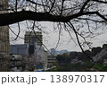 【東京・千鳥ヶ淵】春　桜が満開 　 138970317