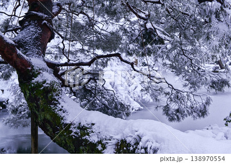 雪景色が美しい兼六園 138970554