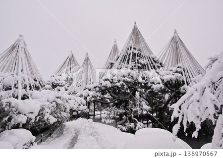 雪景色が美しい兼六園 雪景色が美しい兼六園 138970567