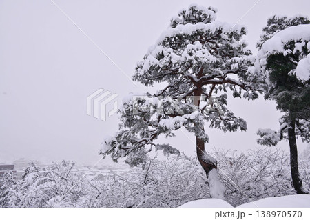 雪景色が美しい兼六園 雪景色が美しい兼六園 138970570