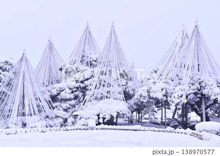 雪景色が美しい兼六園 雪景色が美しい兼六園 138970577