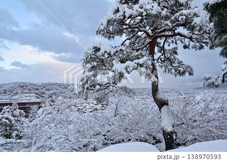 雪景色が美しい兼六園 雪景色が美しい兼六園 138970593