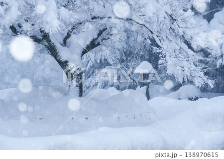雪景色が美しい兼六園 138970615
