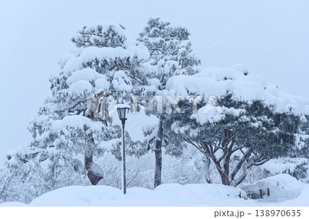 雪景色が美しい兼六園 138970635