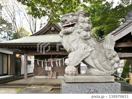 岩槻散歩：富士浅間神社 138970651