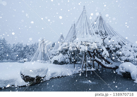 雪景色が美しい兼六園 雪景色が美しい兼六園 138970718