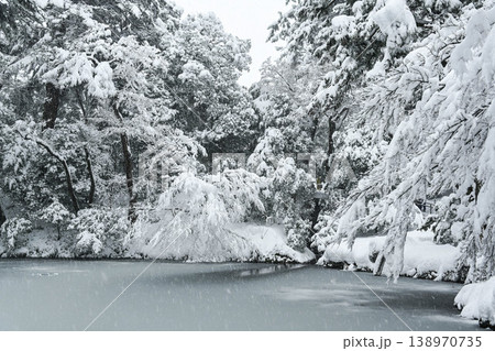 雪景色が美しい兼六園 138970735