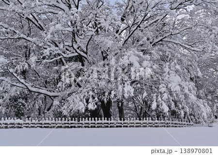 雪景色が美しい金沢城公園 138970801