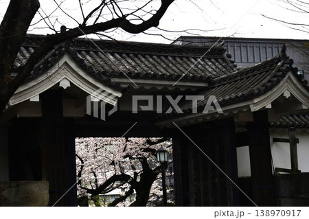 【東京・千鳥ヶ淵】 桜が満開 皇居 田安門 【東京・千鳥ヶ淵】 桜が満開 皇居 田安門 138970917
