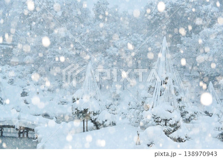 雪が降る美しい金沢城玉泉院丸庭園 雪が降る美しい金沢城玉泉院丸庭園 138970943