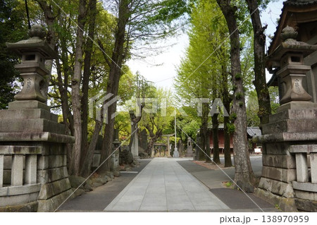 牛嶋神社の境内に佇む石灯籠と石畳の参道を彩る鮮やかな新緑 牛嶋神社の境内に佇む石灯籠と石畳の参道を彩る鮮やかな新緑 138970959