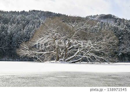 蛇ヶ池の雪景色 蛇ヶ池の雪景色 138971545