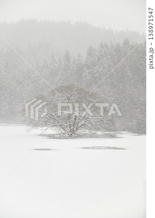 蛇ヶ池の雪景色 蛇ヶ池の雪景色 138971547