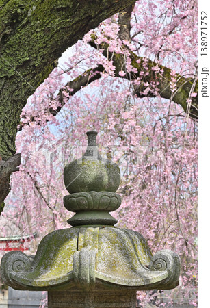 岩槻散歩:浄土真宗本願寺派 浄源寺 岩槻散歩:浄土真宗本願寺派 浄源寺 138971752