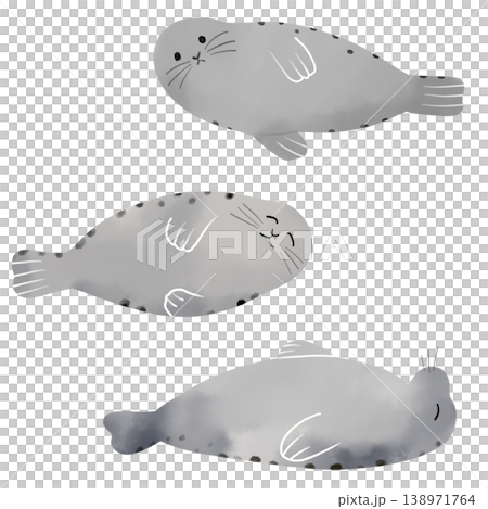 アザラシのポーズ3種類セット 水彩風の可愛いゴマフアザラシの手描き素材 アザラシのポーズ3種類セット 水彩風の可愛いゴマフアザラシの手描き素材 138971764
