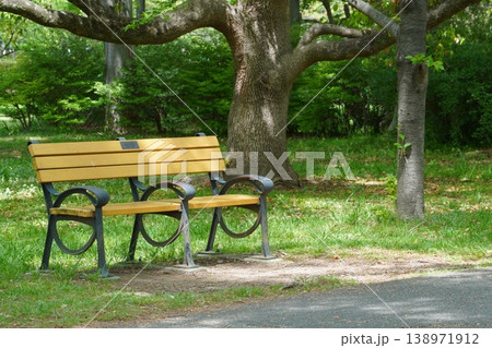 舎人公園の木陰で静かに佇む木製ベンチと春の柔らかな木漏れ日 舎人公園の木陰で静かに佇む木製ベンチと春の柔らかな木漏れ日 138971912