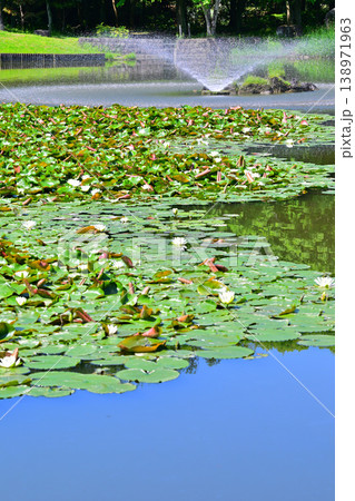 涼しさ増す噴水 城山公園 埼玉県桶川市 涼しさ増す噴水 城山公園 埼玉県桶川市 138971963