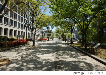 大阪市役所　中の島公園 138971994