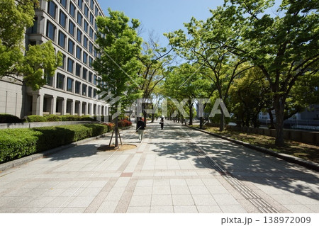 大阪市役所　中の島公園 138972009