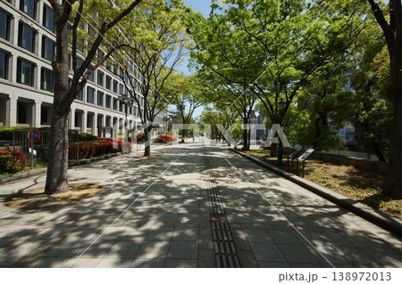 大阪市役所 中の島公園 大阪市役所 中の島公園 138972013
