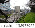 東京　千鳥ヶ淵　桜が満開 　高層ビル 138972022