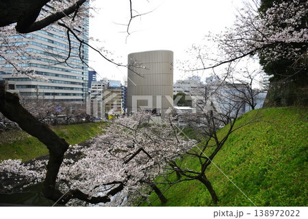 東京　千鳥ヶ淵　桜が満開 　高層ビル 138972022