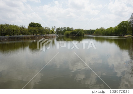 舎人公園の大池に映り込む春の空と新緑の木々（東京都足立区） 138972023