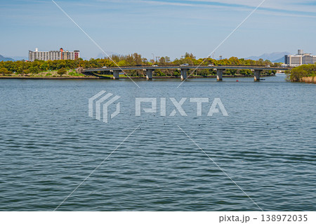 琵琶湖岸風景　滋賀県草津市 138972035