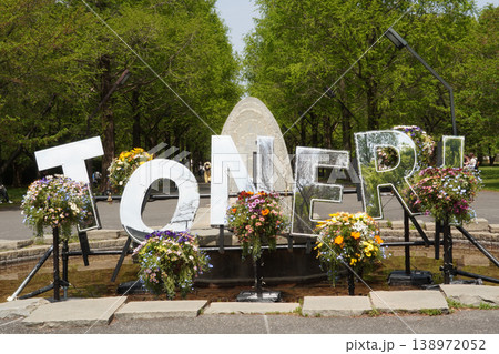 舎人公園のフォトスポット、新緑を映し出す「TONERI」モニュメントと春の花々 138972052
