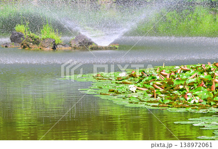 涼しさ増す噴水 城山公園 埼玉県桶川市 涼しさ増す噴水 城山公園 埼玉県桶川市 138972061