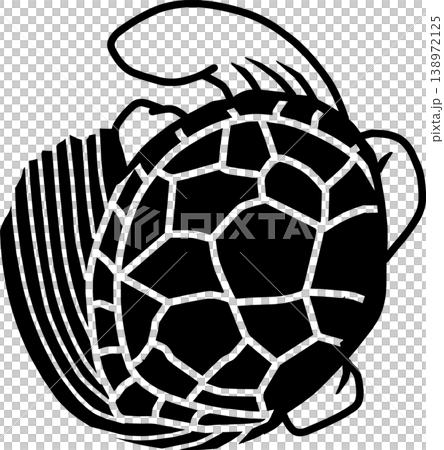 Turtle icon Turtle icon 138972125