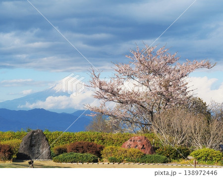 静岡県　桜と富士の名所　日本平　4月 138972446