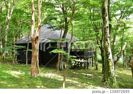 箱根町 芦ノ湖キャンプ村のケビン棟と森林 箱根町 芦ノ湖キャンプ村のケビン棟と森林 138972695