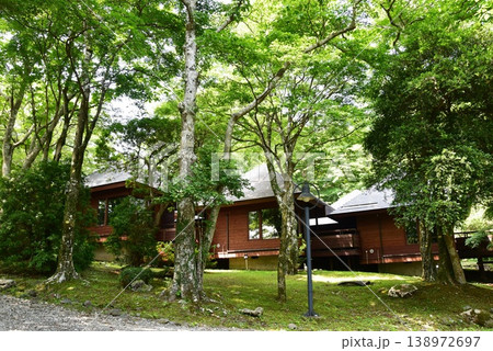 箱根町　芦ノ湖キャンプ村のケビン棟と散策路 138972697