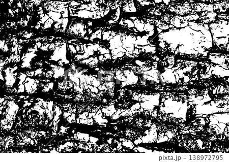 Tree bark texture background Tree bark texture background 138972795
