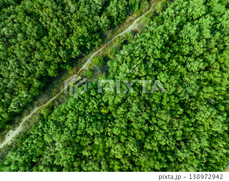 Aerial top view of green forest and forest trail. Drone view of green trees captures CO2. Green trees background for carbon neutrality and net zero emissions concept. Sustainable green environment. 138972942