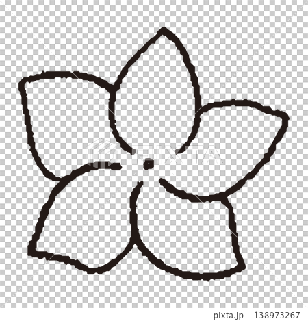 手繪的雞蛋花線條畫 138973267