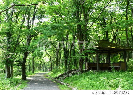 箱根町 湖尻園地散策路と東屋 箱根町 湖尻園地散策路と東屋 138973287