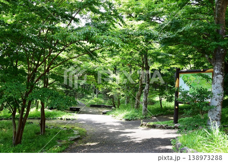 箱根町 湖尻園地散策路と湖尻周辺散策マップ 箱根町 湖尻園地散策路と湖尻周辺散策マップ 138973288