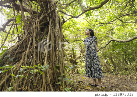 ガジュマルの木を眺める若い女性 旅行イメージ ガジュマルの木を眺める若い女性 旅行イメージ 138973318
