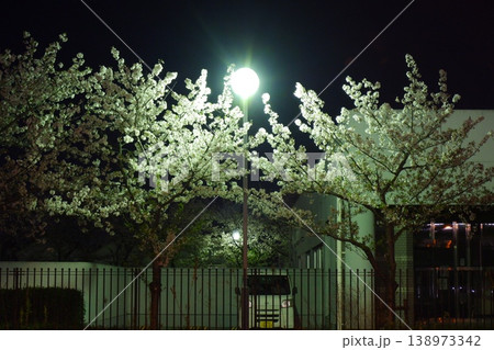 東大阪市新池島ポンプ場の夜桜 138973342