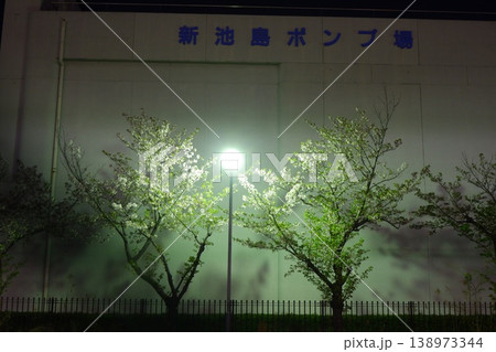 東大阪市新池島ポンプ場の夜桜 東大阪市新池島ポンプ場の夜桜 138973344