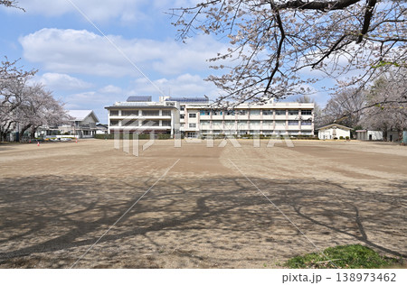 岩槻散歩:埼玉県立岩槻商業高等学校 岩槻散歩:埼玉県立岩槻商業高等学校 138973462