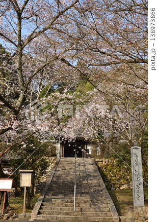 春の岩屋寺 サクラと石段(京都市山科区) 春の岩屋寺 サクラと石段(京都市山科区) 138973866